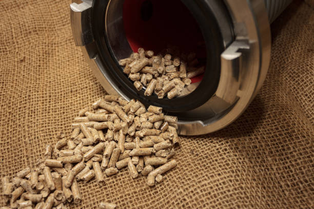 Premium Kwaliteit Houtpellets Kopen: Waar Moet Je Op Letten?